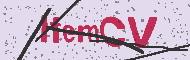 Captcha認証コード
